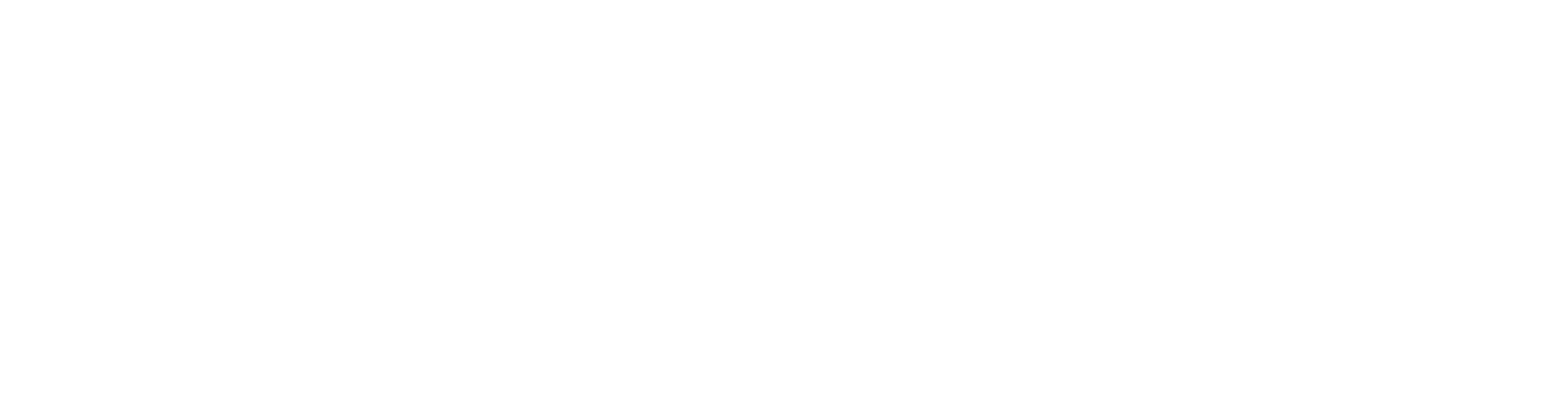 dutch-driving-white-beeldmerk-left-2560x655-transparent
